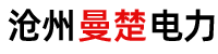 沧州曼楚电力设备有限公司